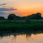 Природа