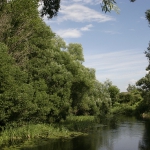 Река Ира
