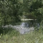Река Ира