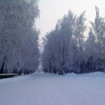 Зима в Ленинском